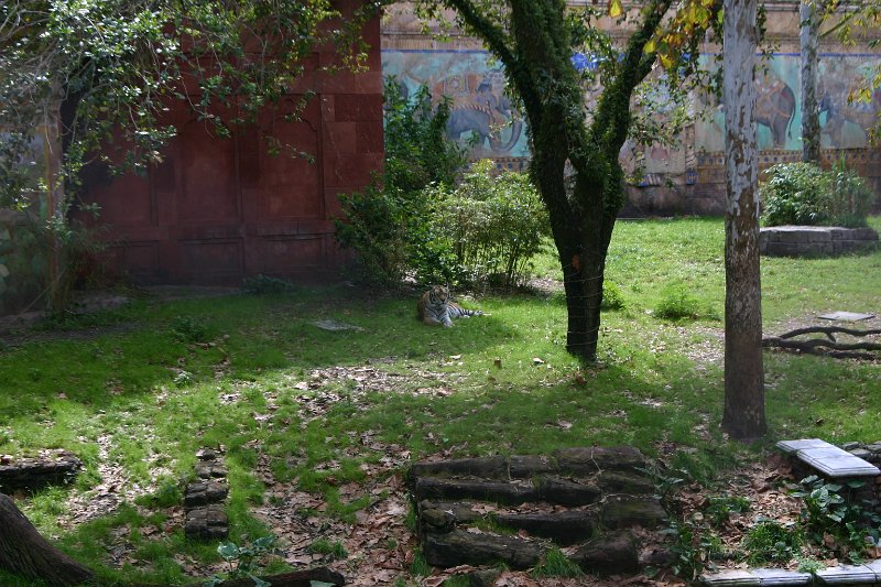 042.JPG