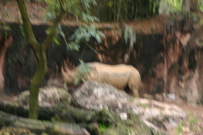 135.JPG