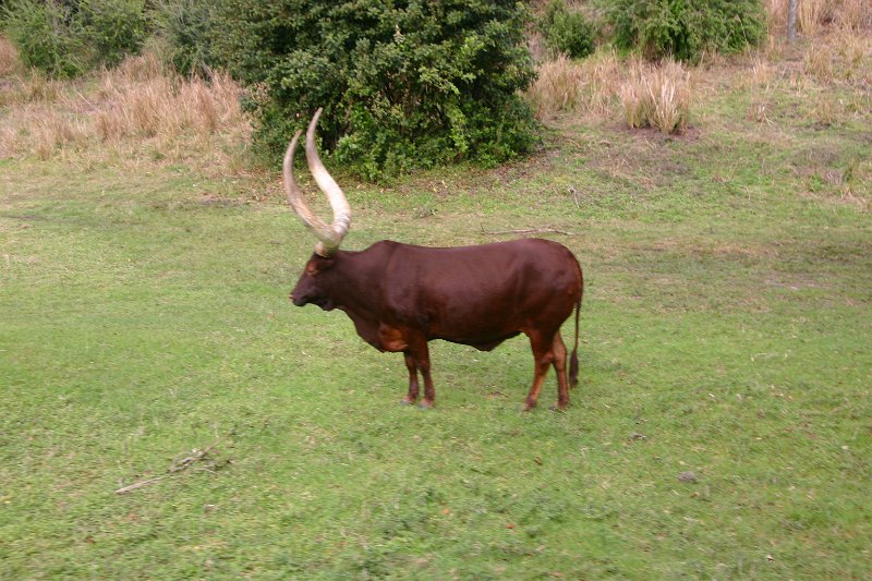 175.JPG
