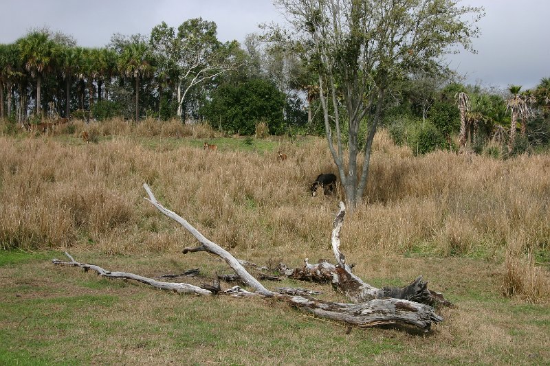 180.JPG