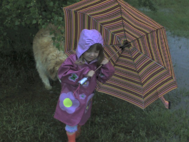 img081.jpg