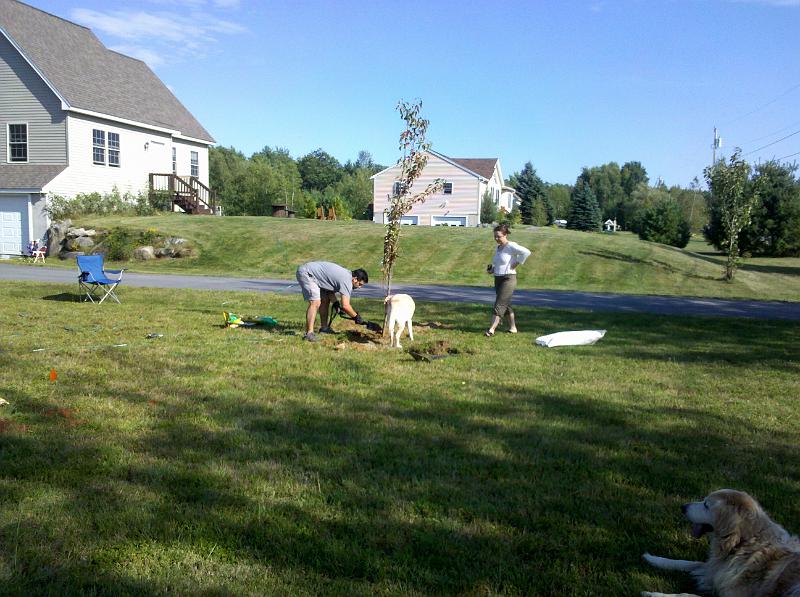 IMG_20100828_161048.jpg