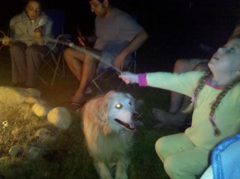 IMG_20100828_203626.jpg