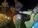 IMG_20100828_203626