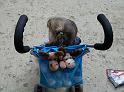 IMG_20100905_155918