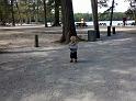 IMG_20100906_114249