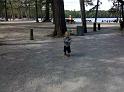 IMG_20100906_114253