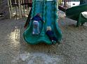 IMG_20100905_165604