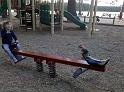 IMG_20100905_165953