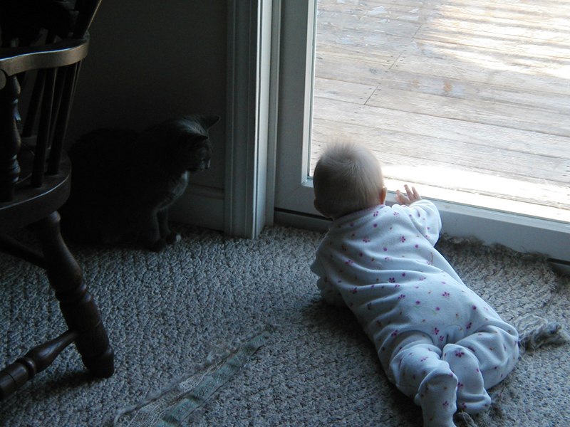 Picture 051