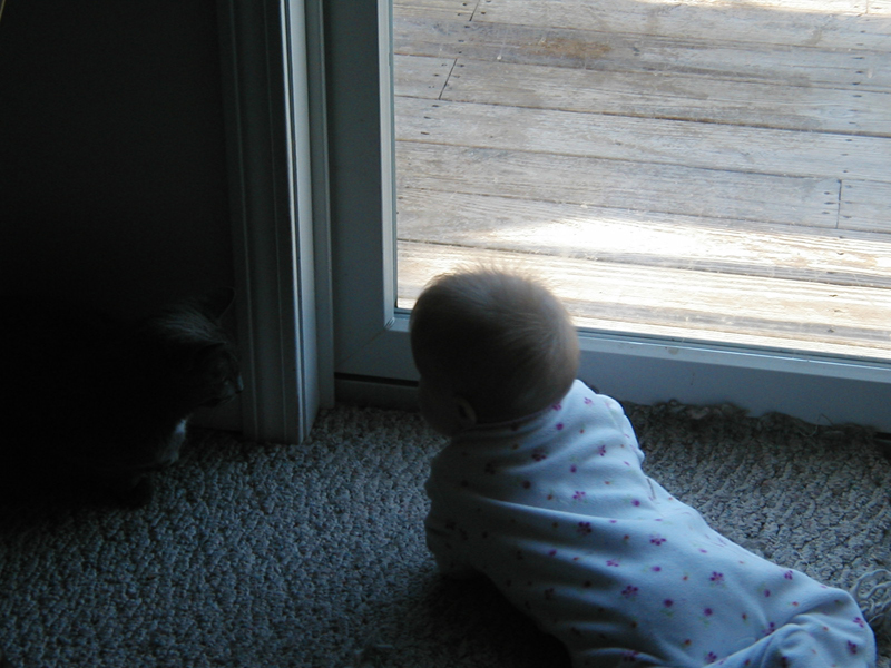 Picture 055