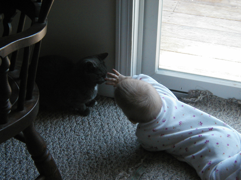 Picture 056