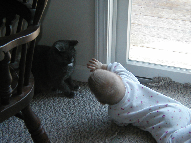 Picture 057