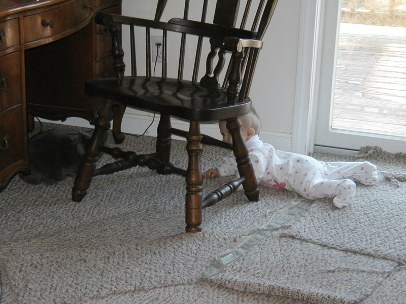 Picture 060