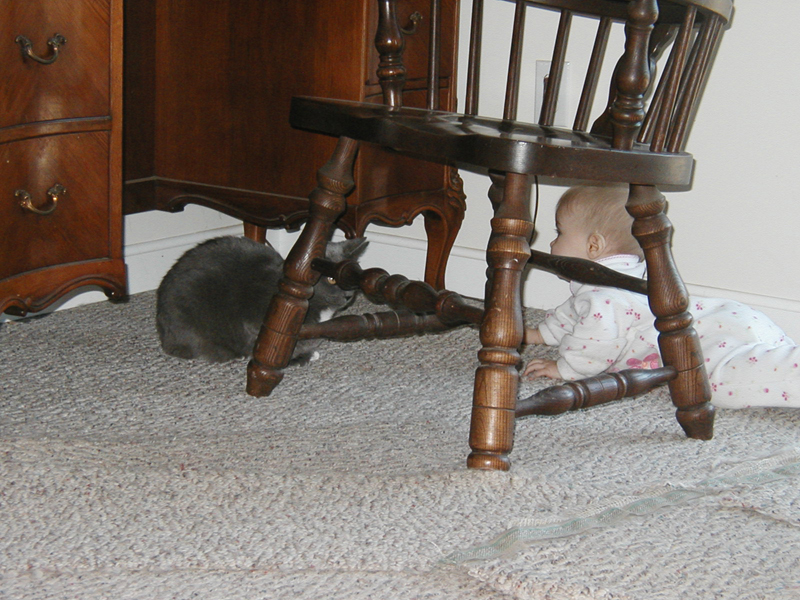 Picture 066