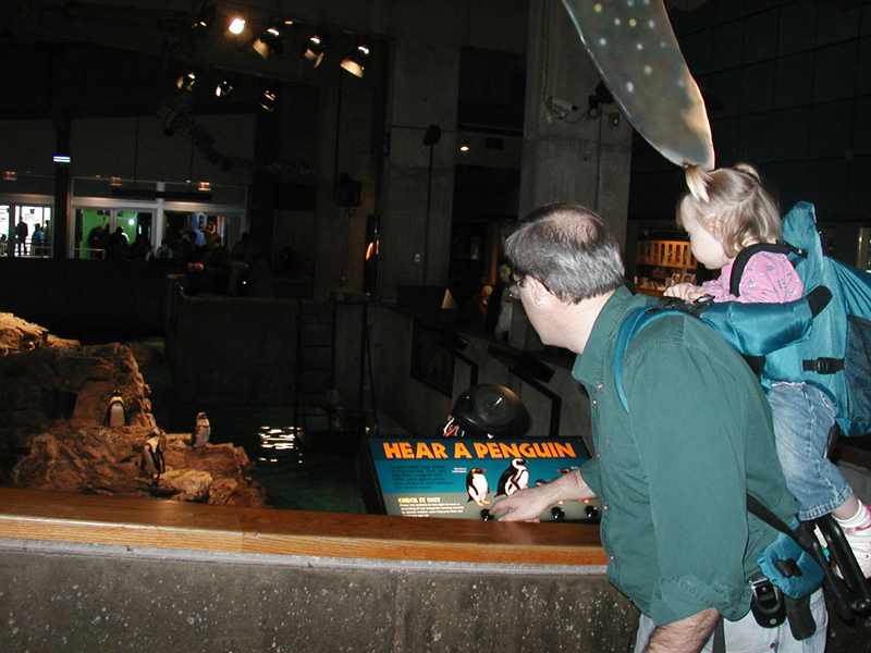 Picture 8638