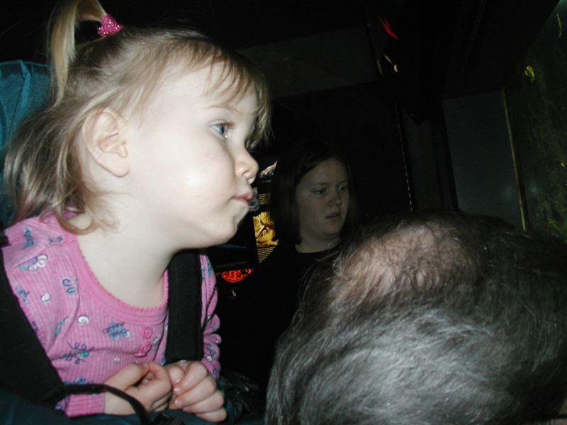 Picture 8643
