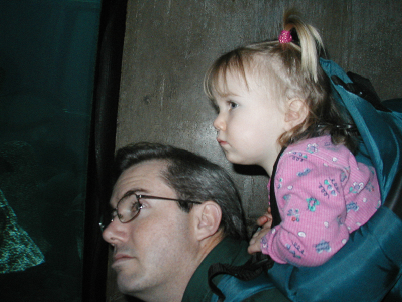 Picture 8646
