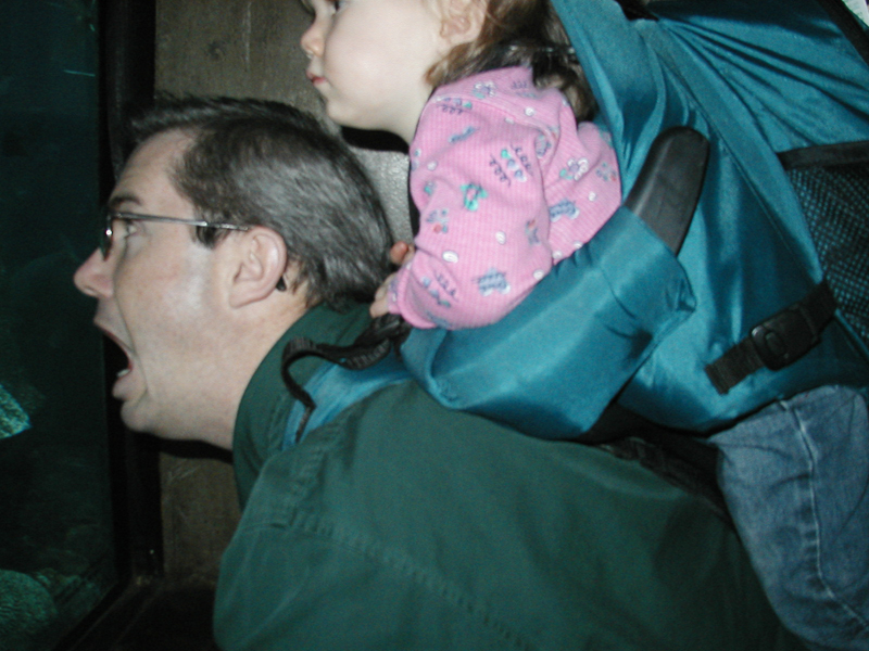 Picture 8647