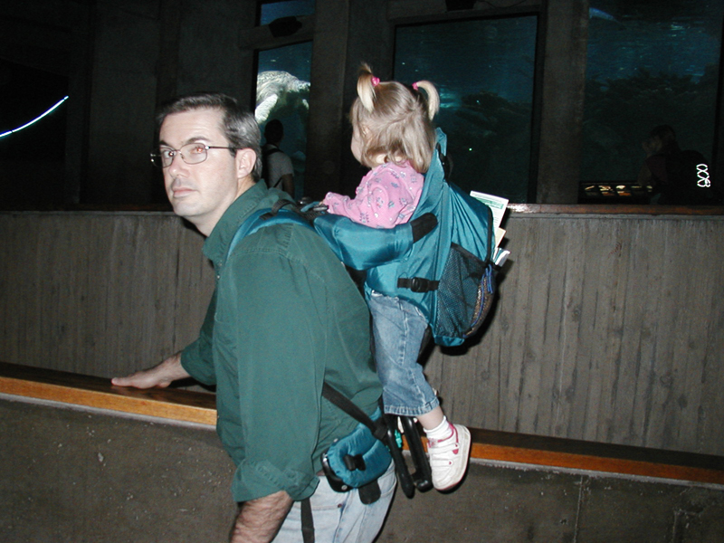 Picture 8648