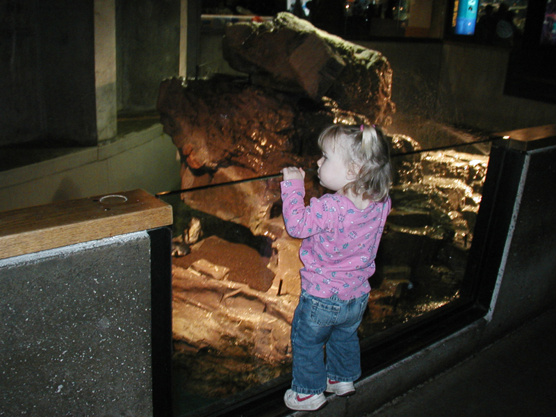 Picture 8653