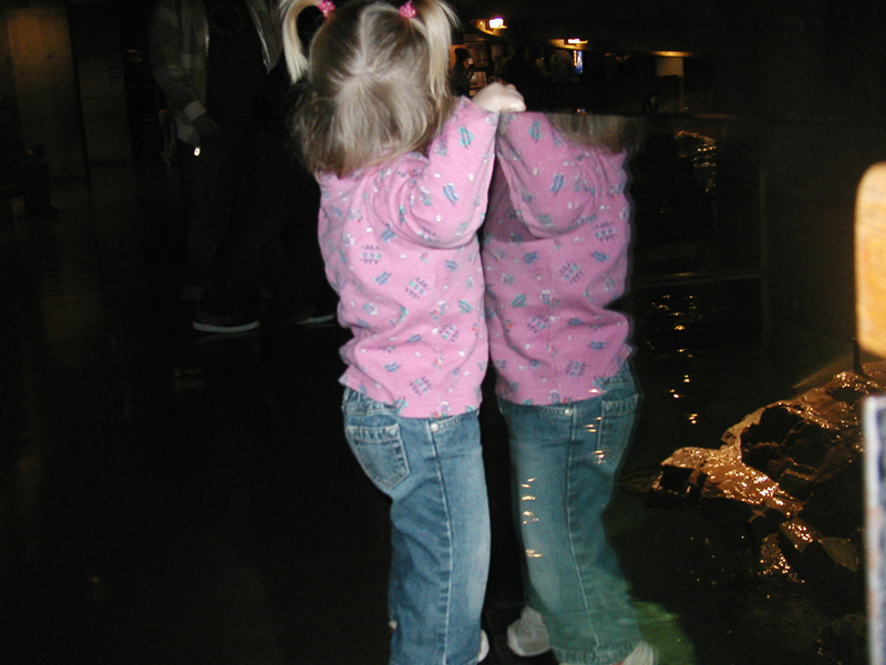 Picture 8655