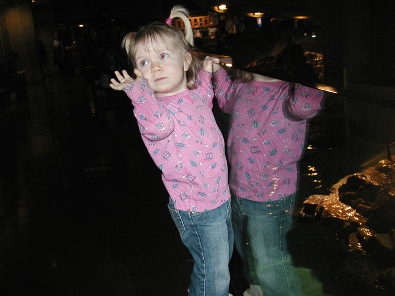 Picture 8656
