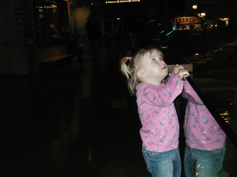 Picture 8657