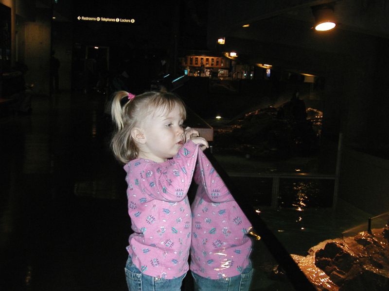 Picture 8659