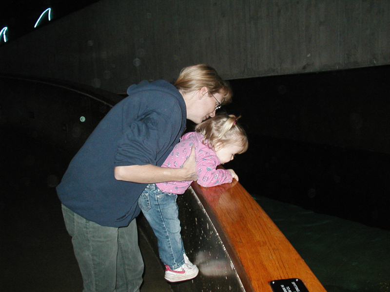Picture 8664