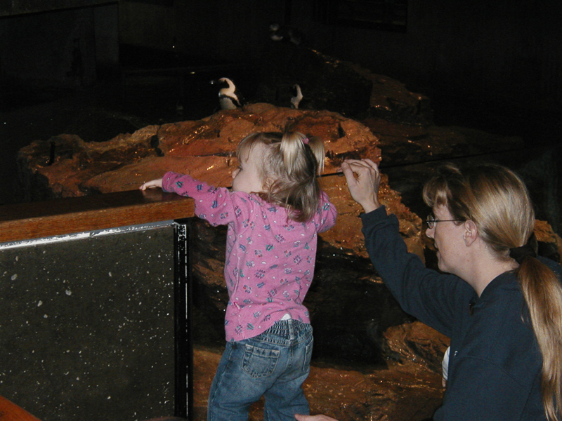 Picture 8673