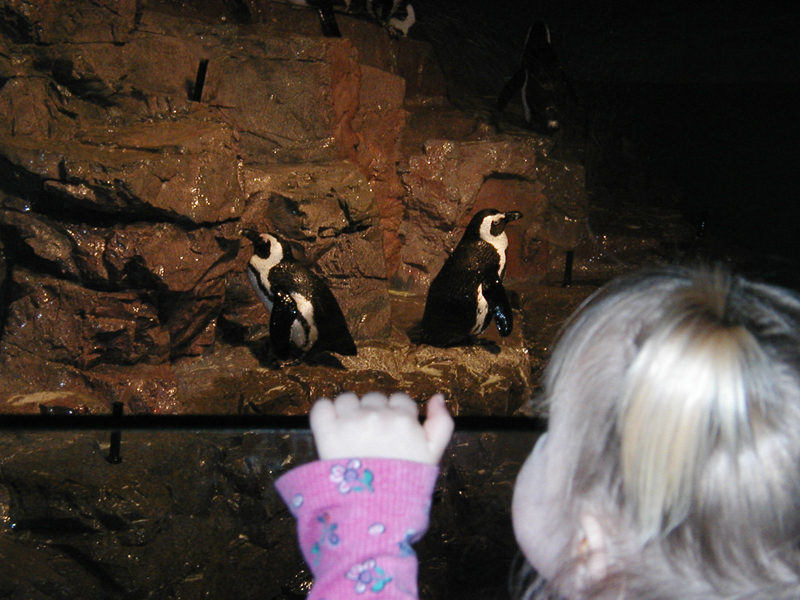 Picture 8675
