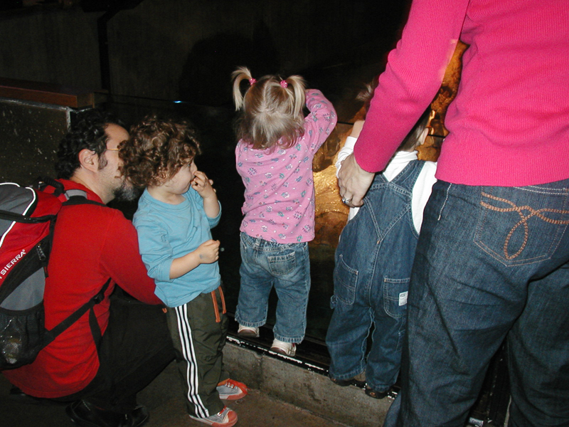 Picture 8677