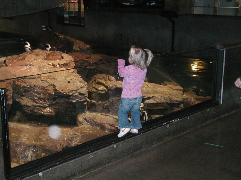 Picture 8678