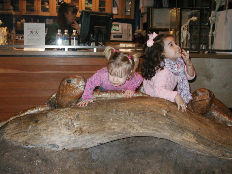 Picture 8686