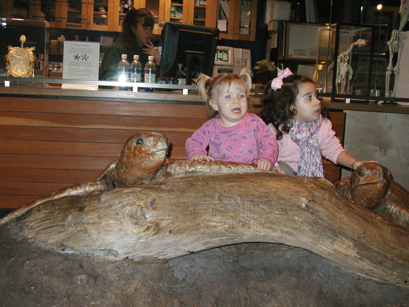 Picture 8687
