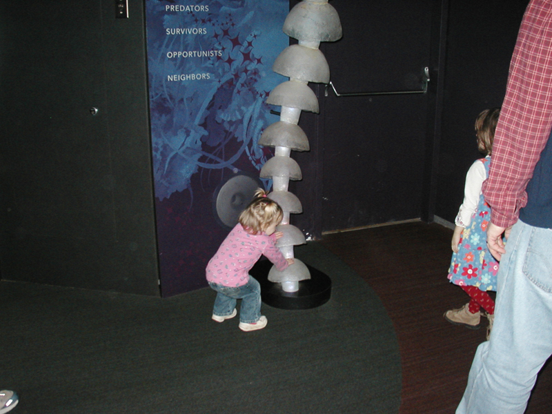 Picture 8689