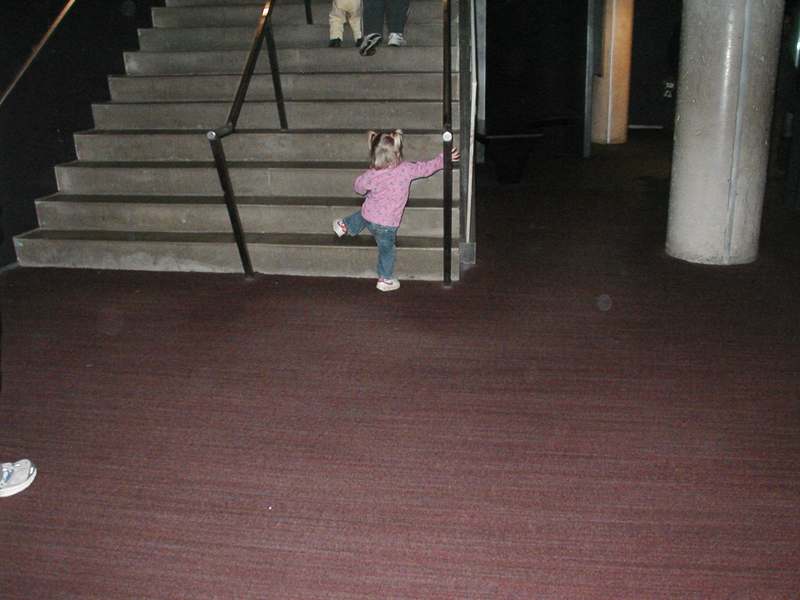Picture 8690