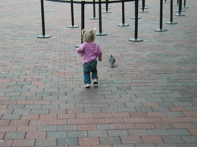 Picture 8691