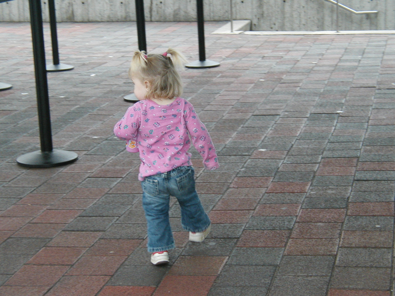 Picture 8693