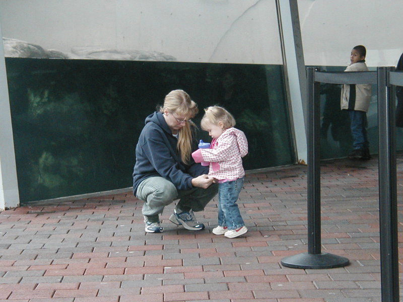 Picture 8694
