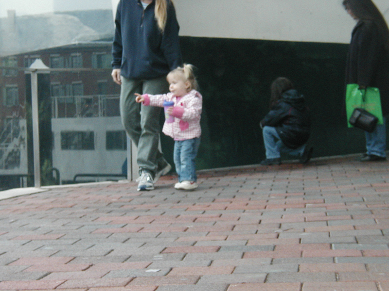 Picture 8695