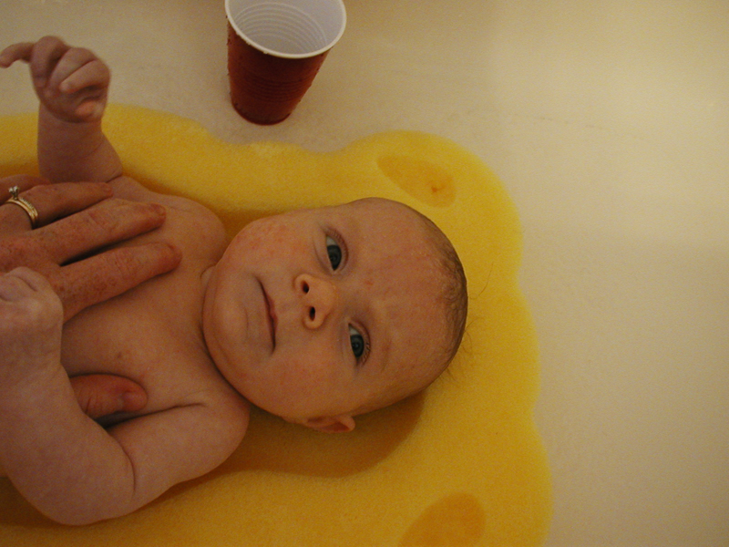 Picture 502