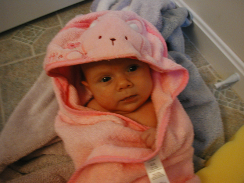 Picture 503