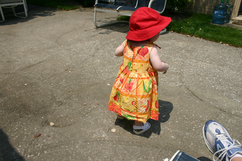 Picture 3213