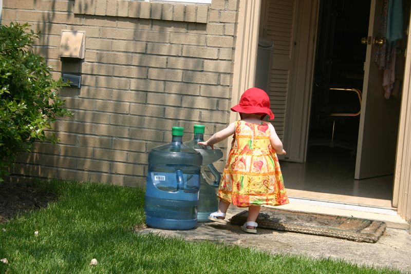 Picture 3215