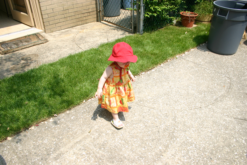 Picture 3223