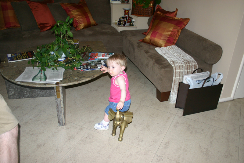 Picture 3151
