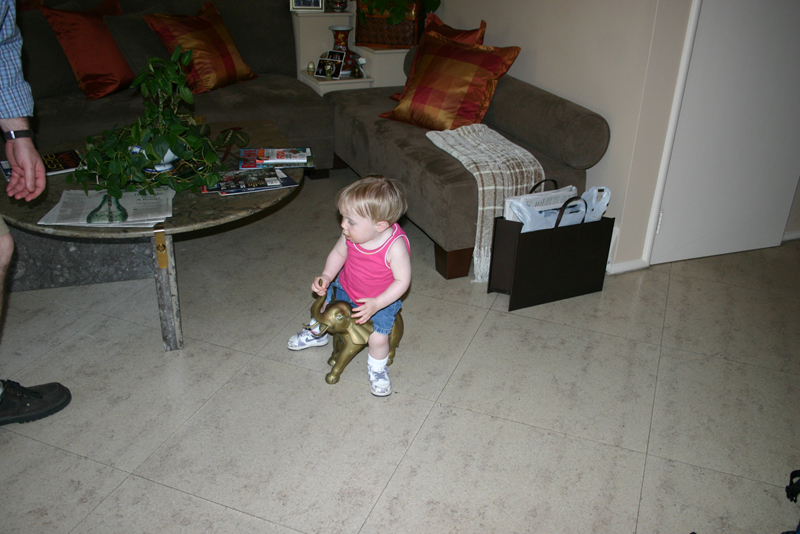 Picture 3153