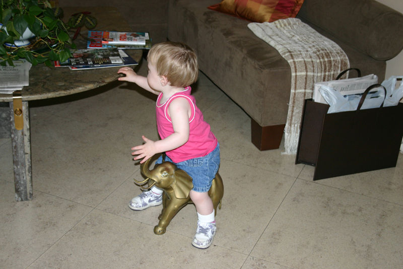 Picture 3154